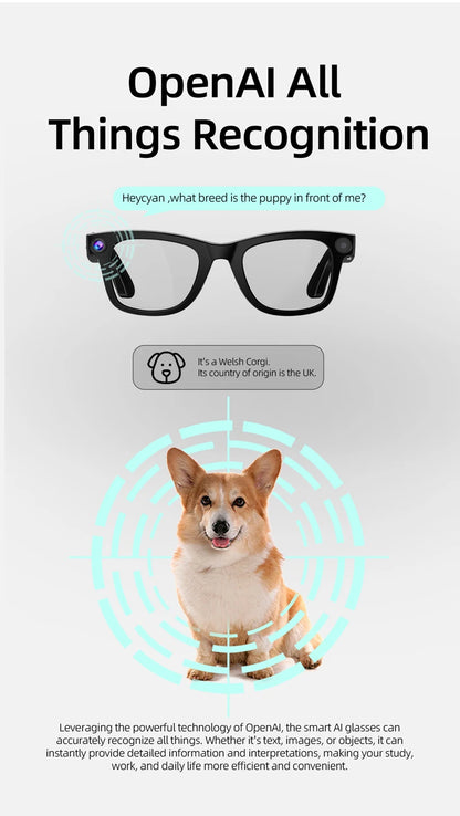 Mateo AI Smart Glasses G300